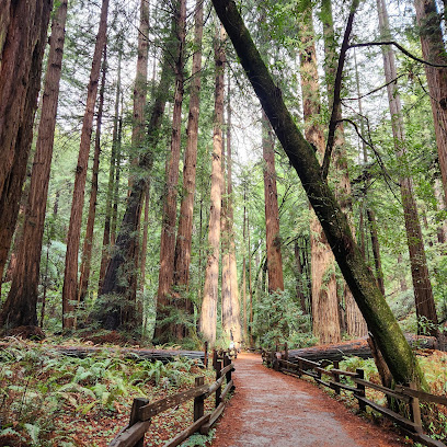 Muir Woods National Monument