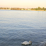 Photo n°7 de l'avis de PASSION.R fait le 16/04/2024 à 20:22 sur le  Hotel San Marco à Peschiera del Garda