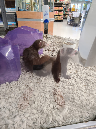 Pet Supply Store «Petco Animal Supplies», reviews and photos, 3246 N John Young Pkwy, Kissimmee, FL 34741, USA