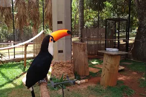 Playground Brasilia Zoo image