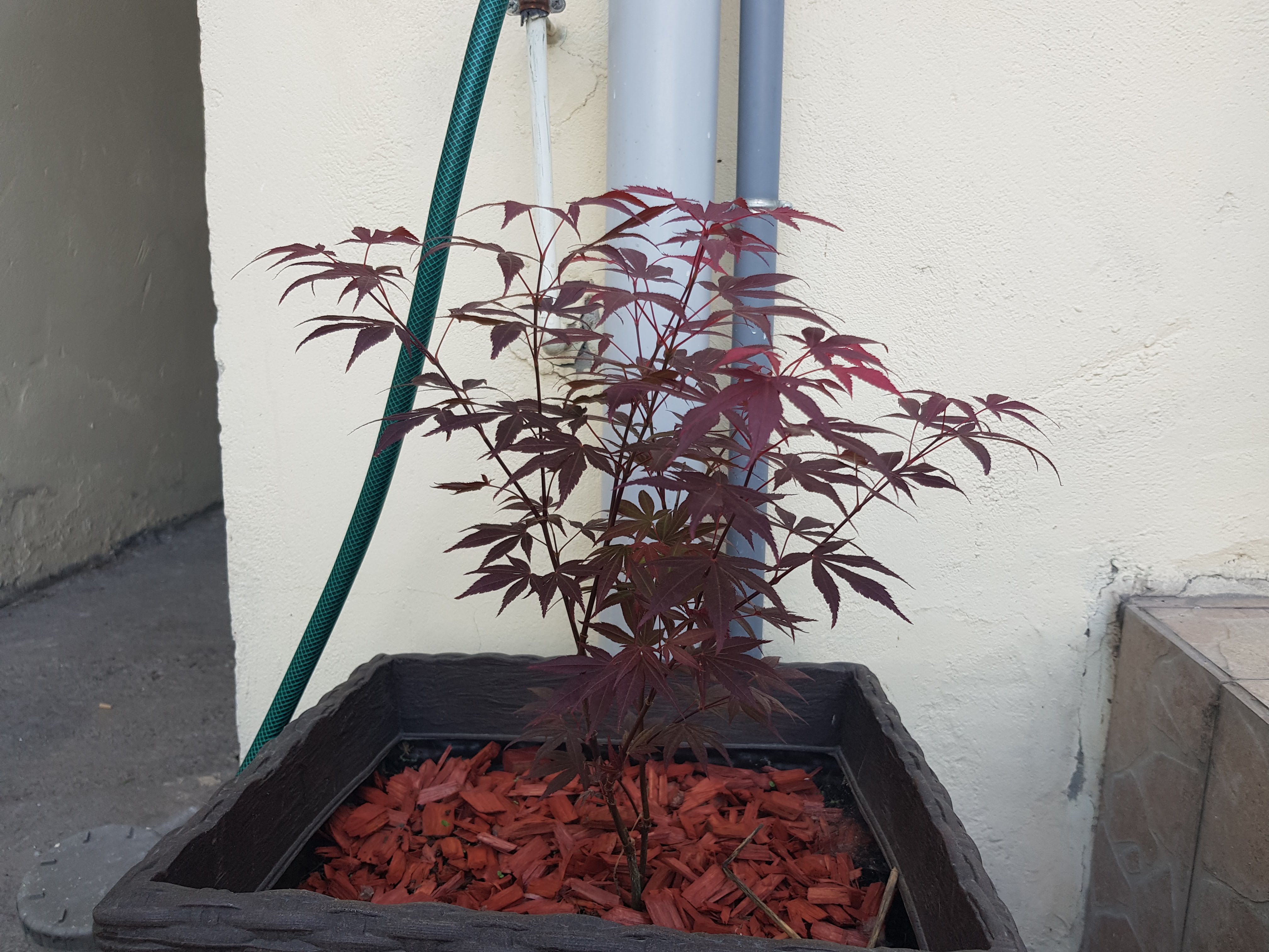 Photo n° 2 de l'avis de Nicolas.a fait le 22/06/2018 à 15:50