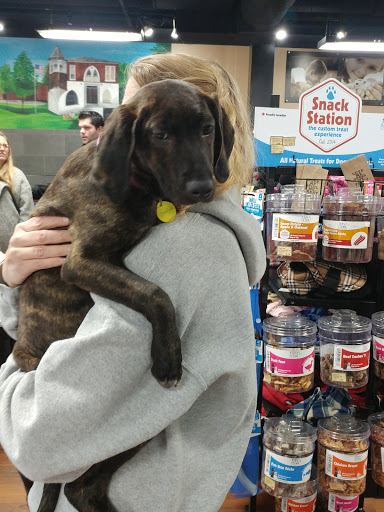 Pet Store «Pet Valu», reviews and photos, 1301 W Skippack Pike, Blue Bell, PA 19422, USA