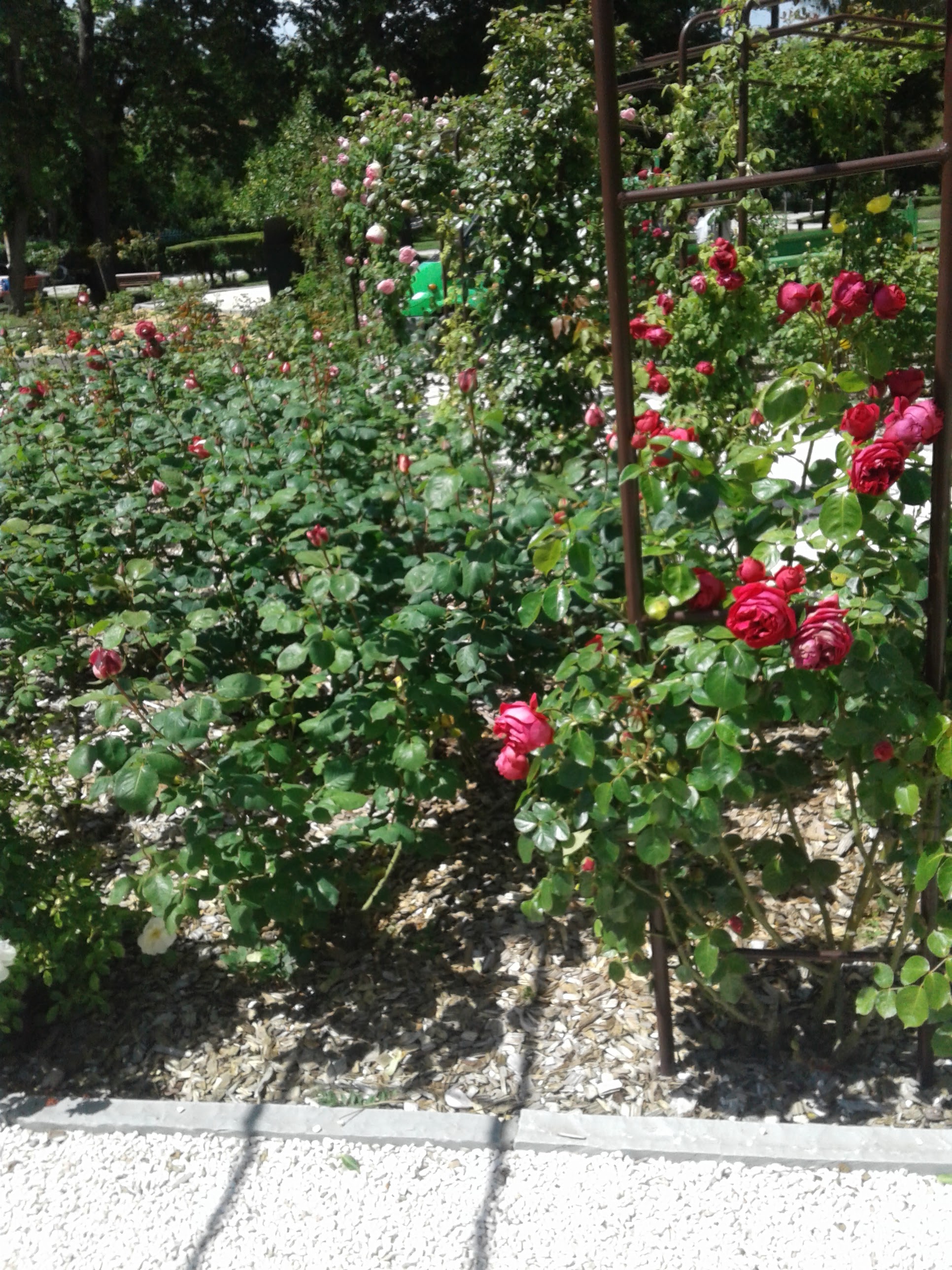 Photo n° 2 de l'avis de ludovic.o fait le 12/05/2021 à 14:39