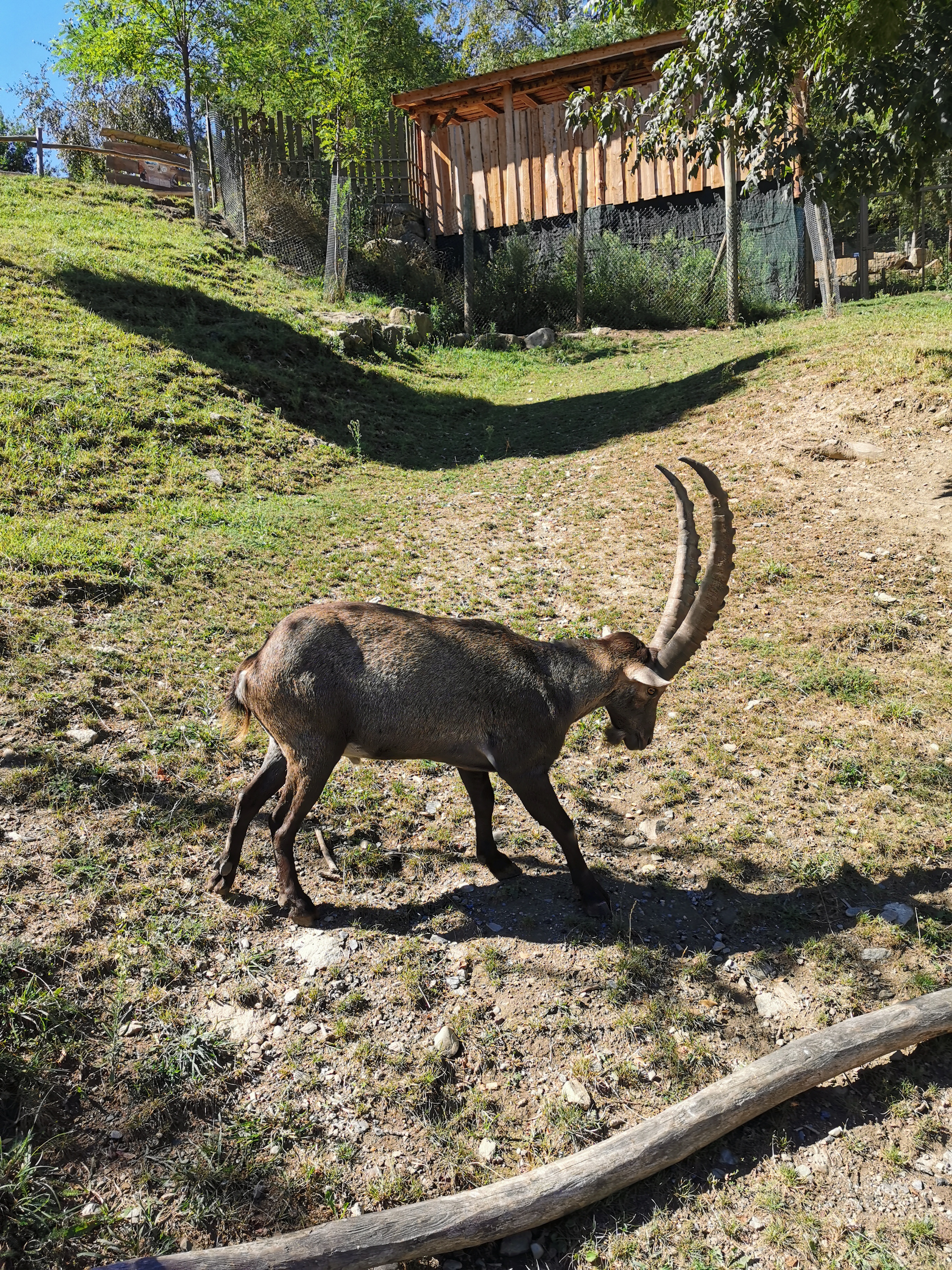 Photo n° 12 de l'avis de Sylvain.i fait le 03/09/2020 à 11:35