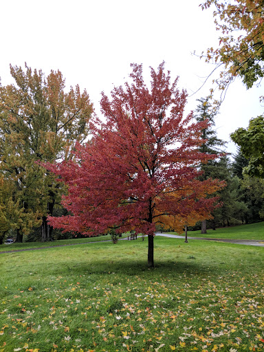 Art Museum «Herbert F. Johnson Museum of Art», reviews and photos, 114 Central Ave, Ithaca, NY 14853, USA