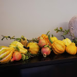 Photo n°1 de l'avis de paola.a fait le 26/09/2021 à 22:12 sur le  Villa Terzaghi - Ristorante nel Parco à Robecco sul Naviglio