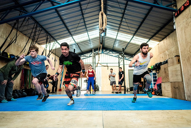 Opiniones de CrossFit Austral en Valdivia - Gimnasio