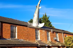 The Headington Shark image