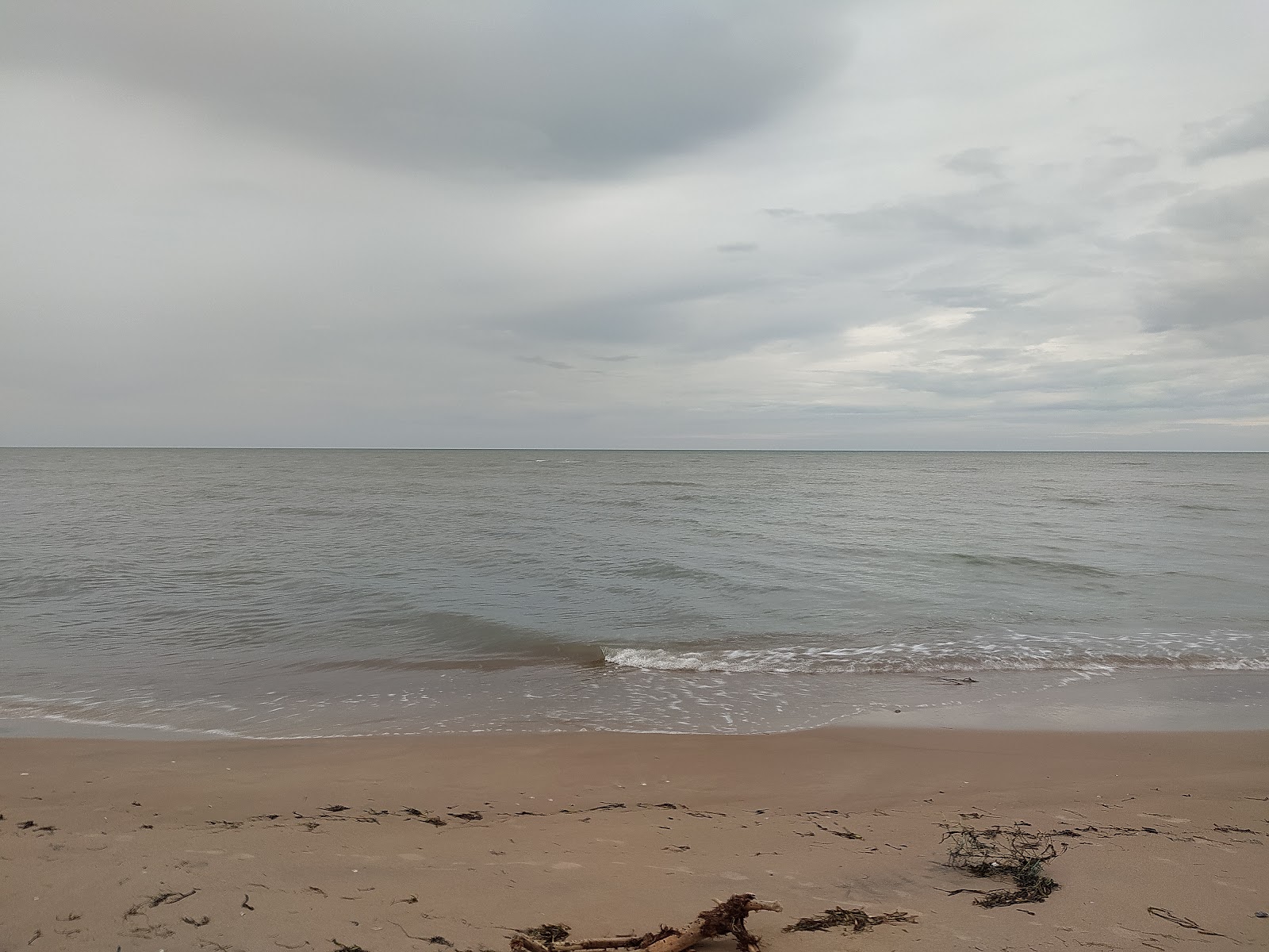 Fotografie cu Rajamadam Beach zonă sălbatică
