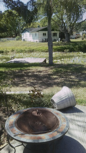 Transportation Service «Averitt Express», reviews and photos, 6622 E Hillsborough Ave, Tampa, FL 33610, USA