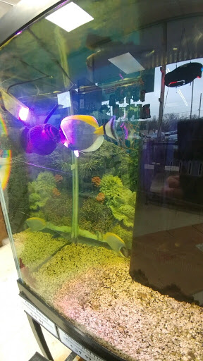 Pet Store «Eden Pets Supplies & Aquarium», reviews and photos, 3771 Bladensburg Rd, Brentwood, MD 20722, USA