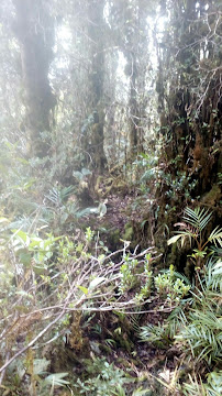 Foto TK  Kambang Bulan, Kabupaten Katingan