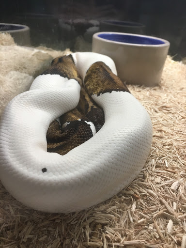 Pet Store «Wildside Pets», reviews and photos, 1042 N Higley Rd #105, Mesa, AZ 85205, USA