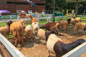 Samui Sheep farm and salad bar image