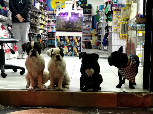 Mars Petshop | Şişli İstanbul - Evcil Hayvan Malzemeleri Mağazası