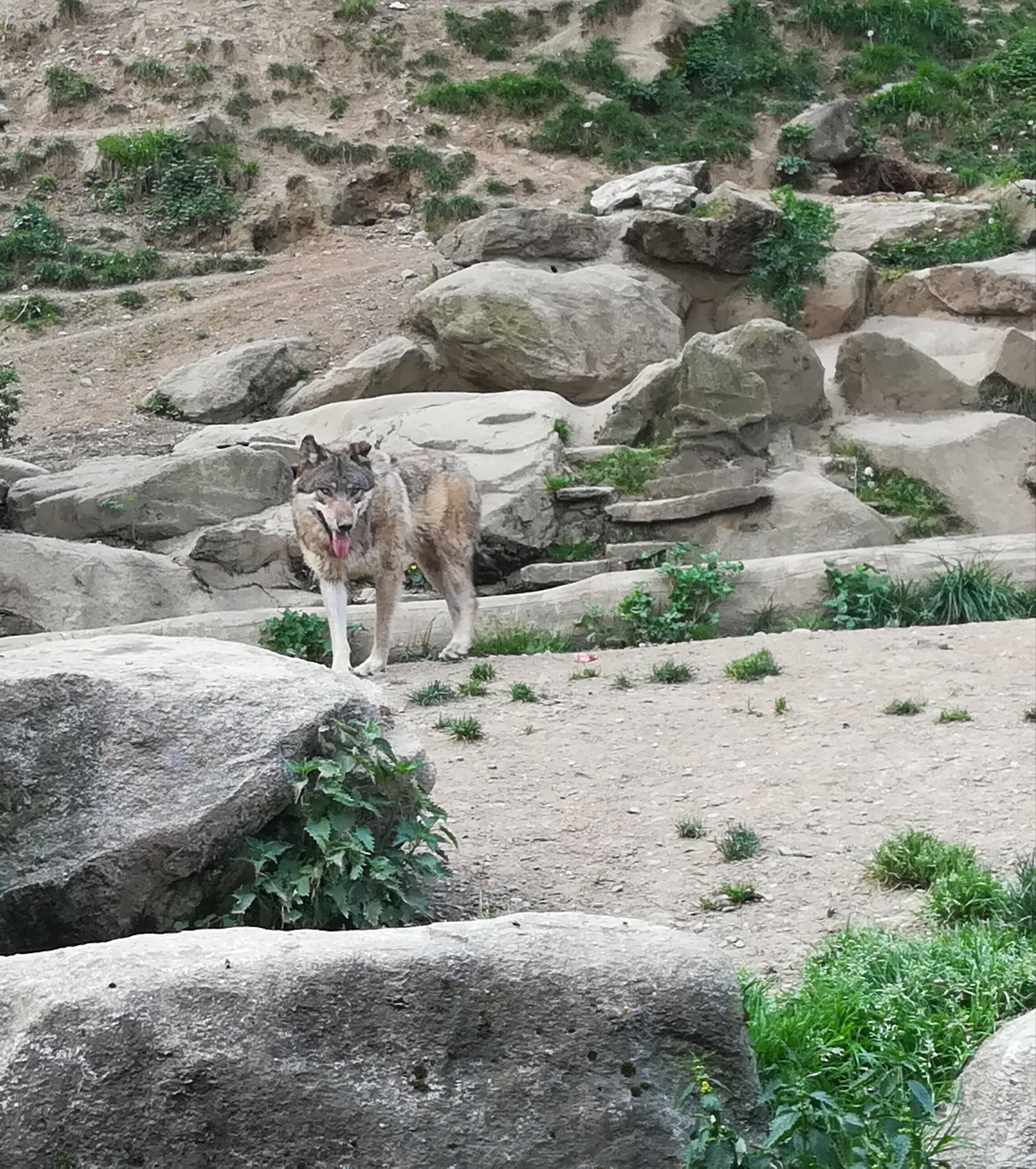 Photo n° 14 de l'avis de Sarah.L fait le 21/04/2018 à 18:44