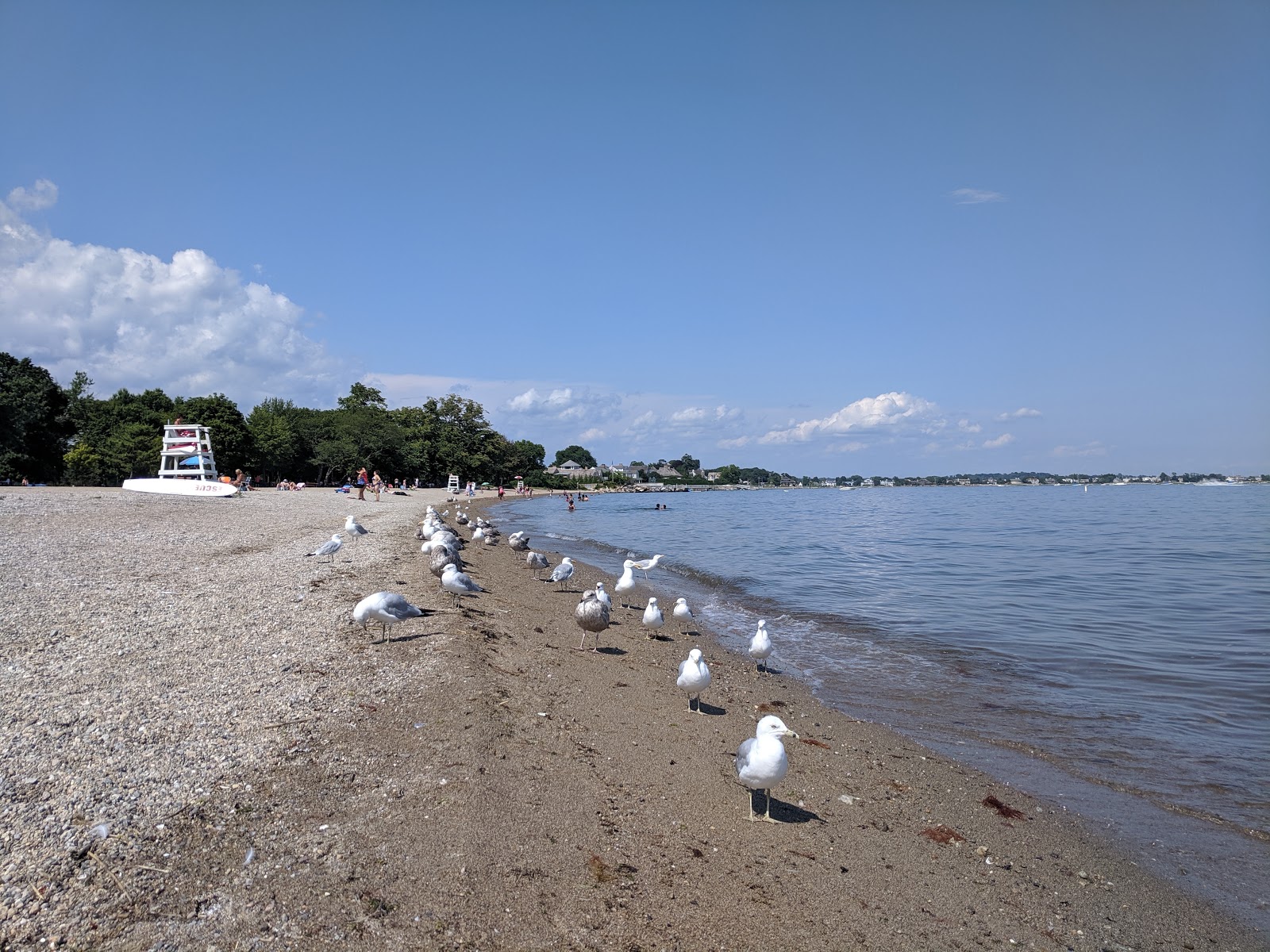 Foto von Calf Pasture Beach mit beiger muschelsand Oberfläche