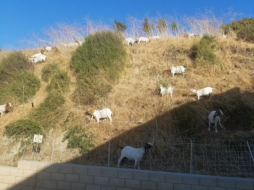 Shopping Mall «Country Hills Shopping Center», reviews and photos, 2905 Rolling Hills Rd, Torrance, CA 90505, USA