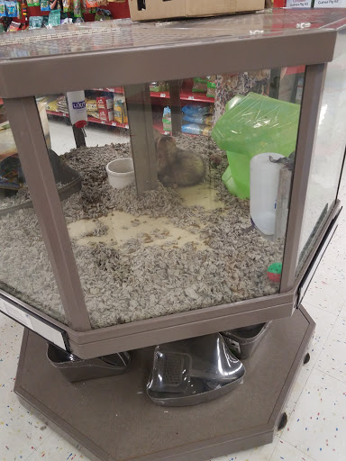 Pet Supply Store «Petco Animal Supplies», reviews and photos, 253 Burgess Rd, Harrisonburg, VA 22801, USA