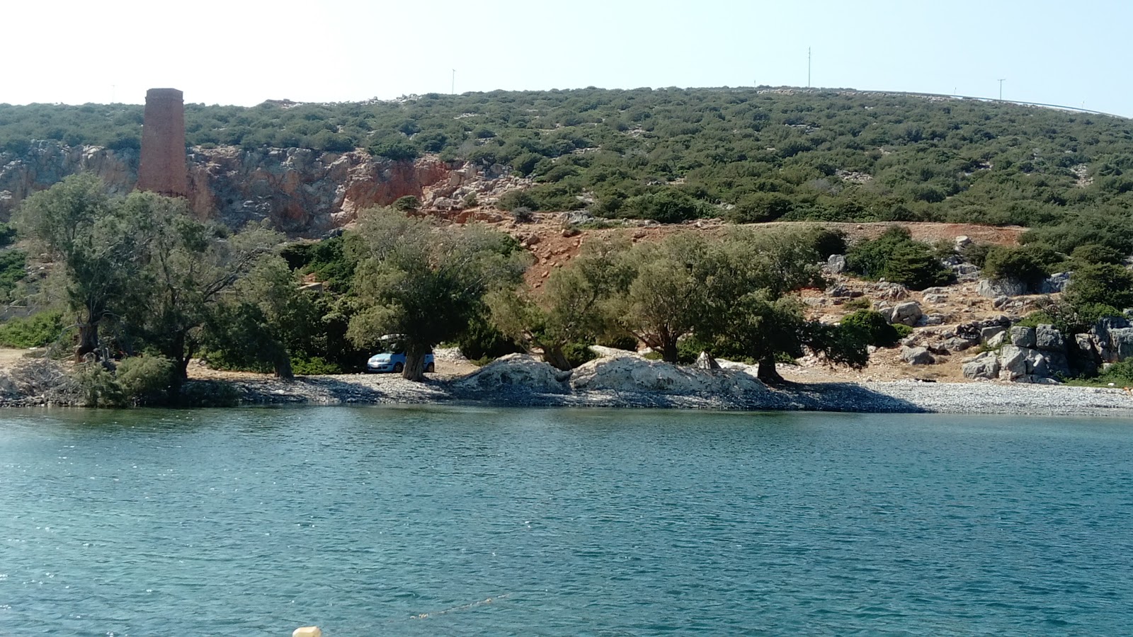 Agrelidi'in fotoğrafı vahşi alan