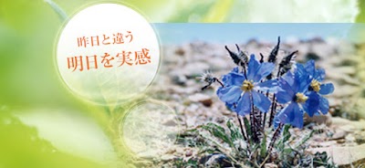 よしだ鍼灸整骨院・整体院