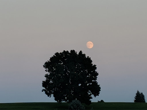 Golf Club «Indian Springs Golf Club», reviews and photos, 132 Mack Rd, Middlefield, CT 06455, USA