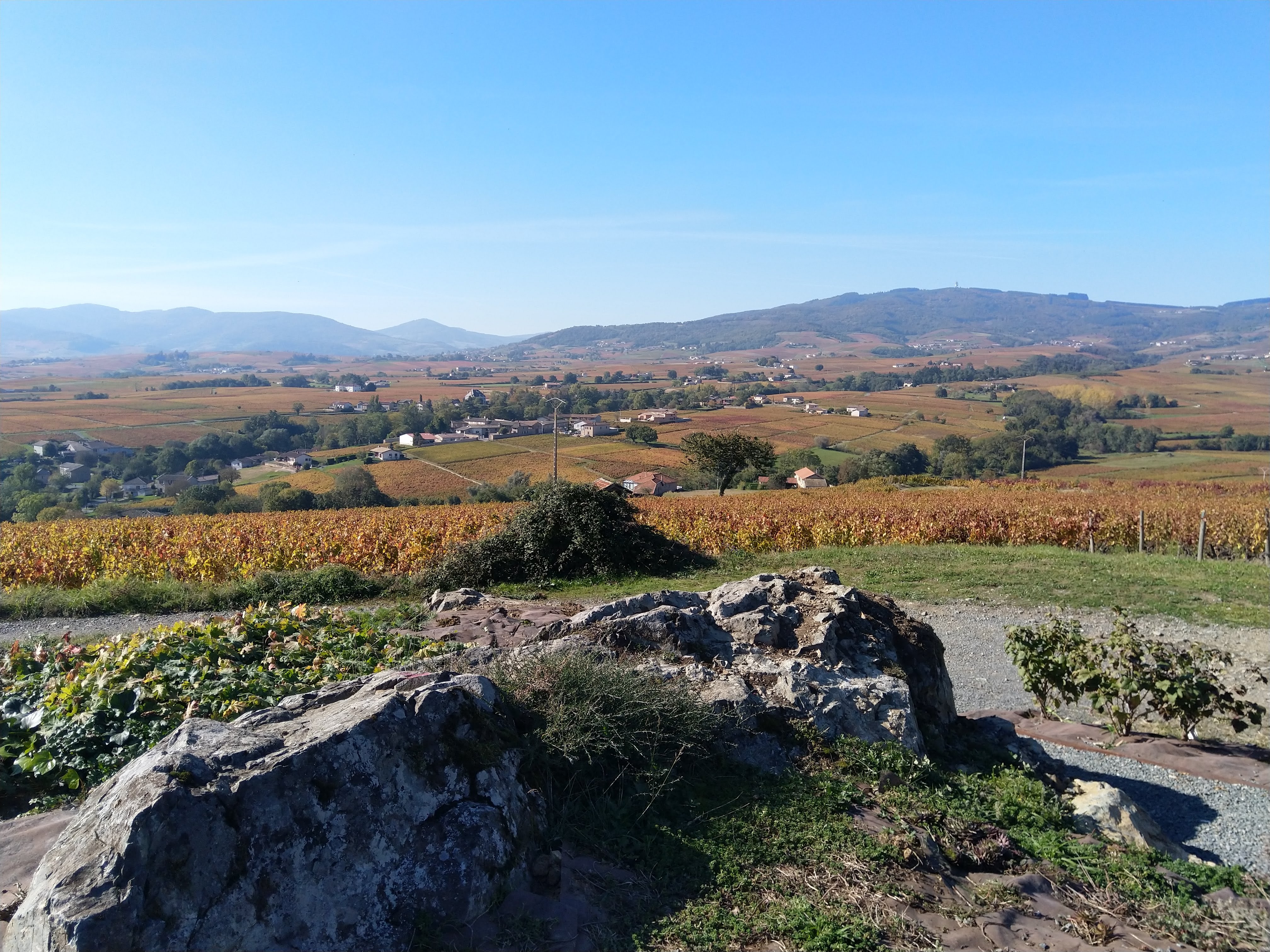 Photo n° 3 de l'avis de Michel.o fait le 19/10/2021 à 14:46