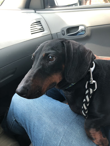 Pet Supply Store «Ma & Paws Pet Supplies», reviews and photos, 206 Anderson Ln N #200, Hendersonville, TN 37075, USA