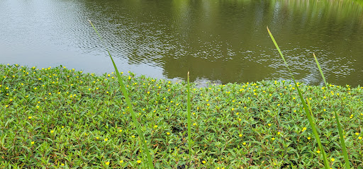 Country Club «Whitmoor Country Club», reviews and photos, 1100 Whitmoor Dr, Weldon Spring, MO 63304, USA