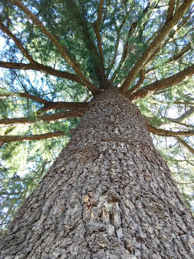 Park «Legacy Park», reviews and photos, 336 Rocky Slope Rd, Greenville, SC 29607, USA