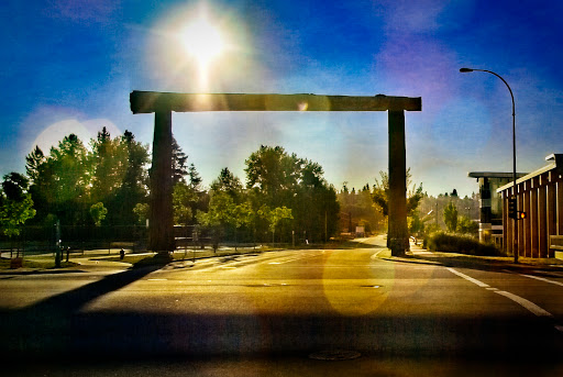 Pacific Equine Clinic