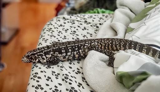 Pet Supply Store «Petco Animal Supplies», reviews and photos, 1333 Centennial Ave, Piscataway Township, NJ 08854, USA