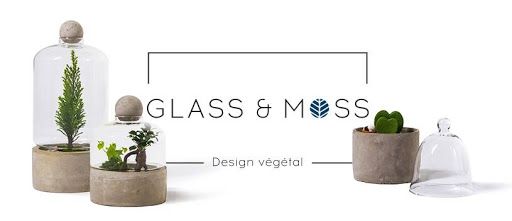 Glass & Moss