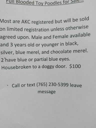 Pet Store «Art In Motion Pets», reviews and photos, 1893 S Western Ave, Marion, IN 46953, USA