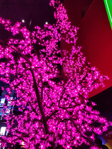 Amusement Park «FunPlex Amusement Park», reviews and photos, 13700 Beechnut St, Houston, TX 77083, USA