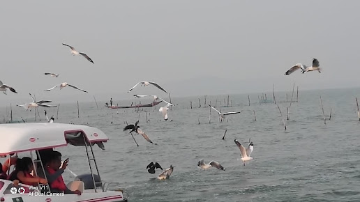 Google Maps image 28