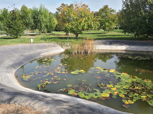 Grădina Botanică USAMV