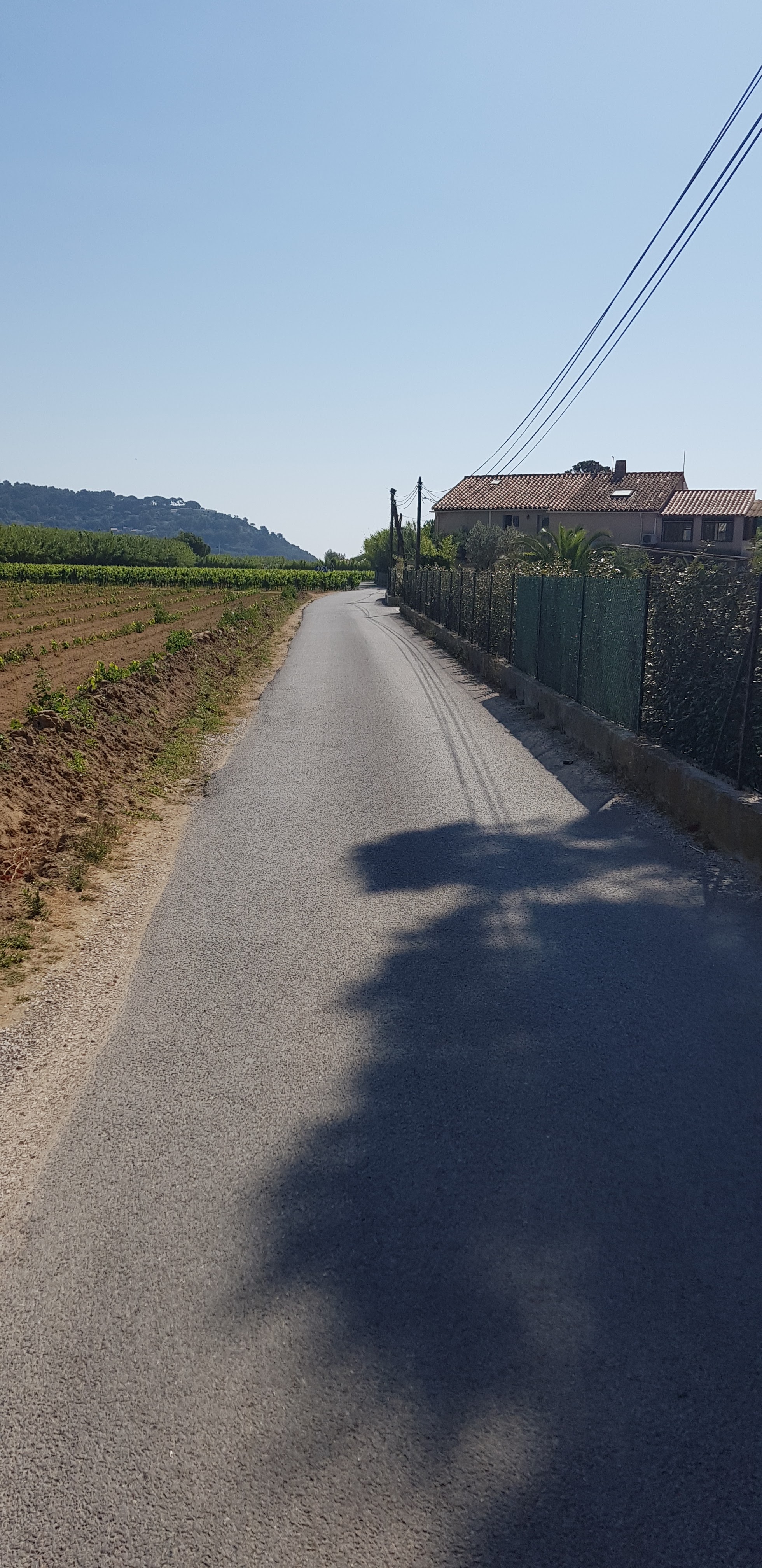 Photo n° 2 de l'avis de Dirk. fait le 23/06/2019 à 18:51