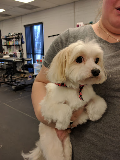 Pet Store «All Pets Considered», reviews and photos, 2614 Battleground Ave, Greensboro, NC 27408, USA