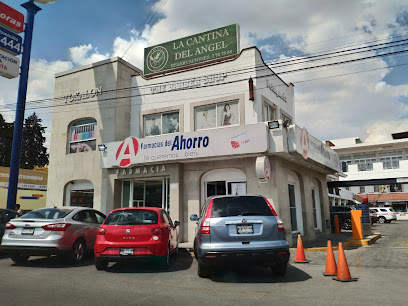 Farmacia Del Ahorro San Carlos Calle Leona Vicario 801, Real De Arcos, 52140 Metepec, Méx. Mexico