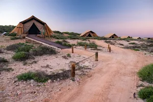 Sal Salis Ningaloo Reef Safari Camp image