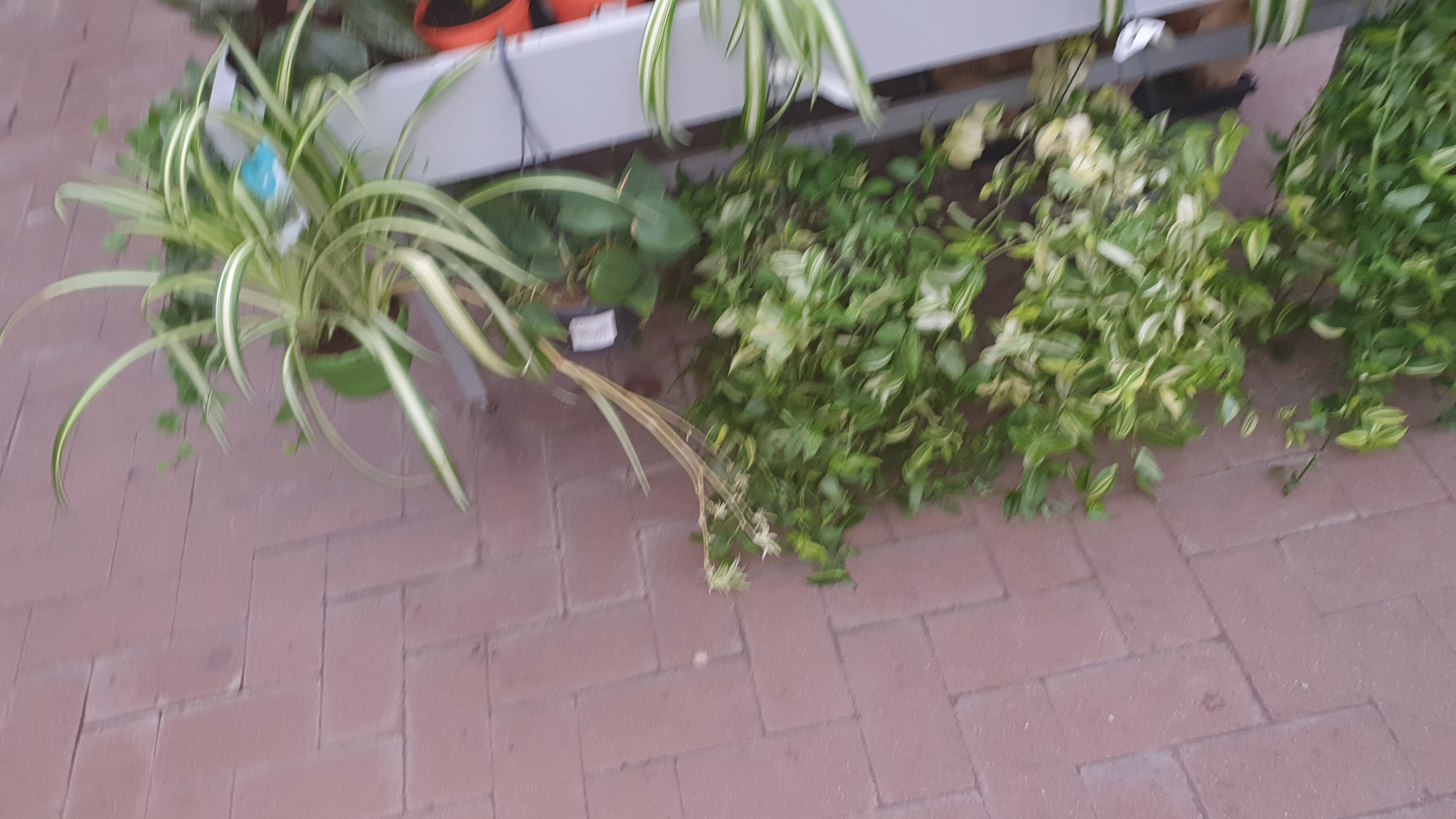 Photo n° 36 de l'avis de Amadou.i fait le 31/10/2019 à 15:45