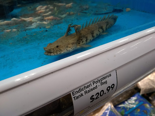 Pet Supply Store «Pet Supermarket, Inc.», reviews and photos, 18445 US-41, Lutz, FL 33549, USA