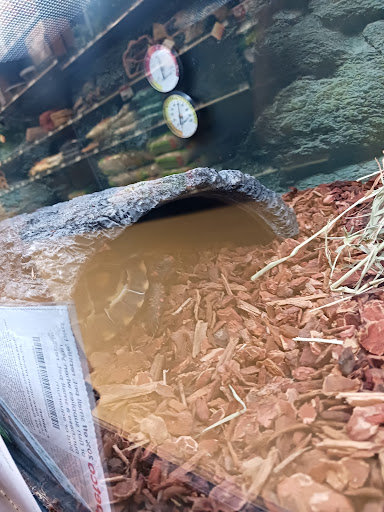 Pet Supply Store «Petco Animal Supplies», reviews and photos, 20825 I-30, Benton, AR 72015, USA