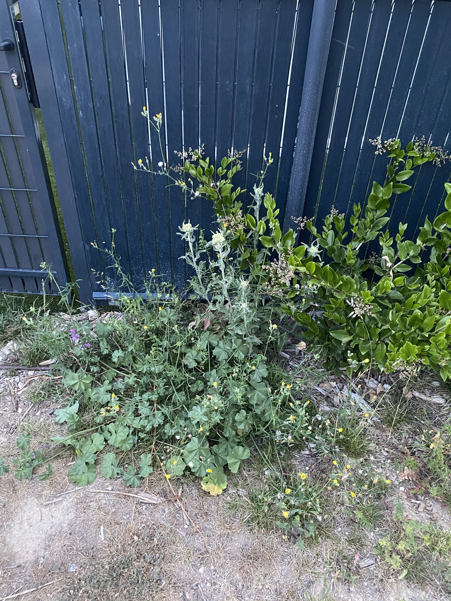 Photo n° 2 de l'avis de RAPHAEL.N fait le 11/05/2023 à 15:58