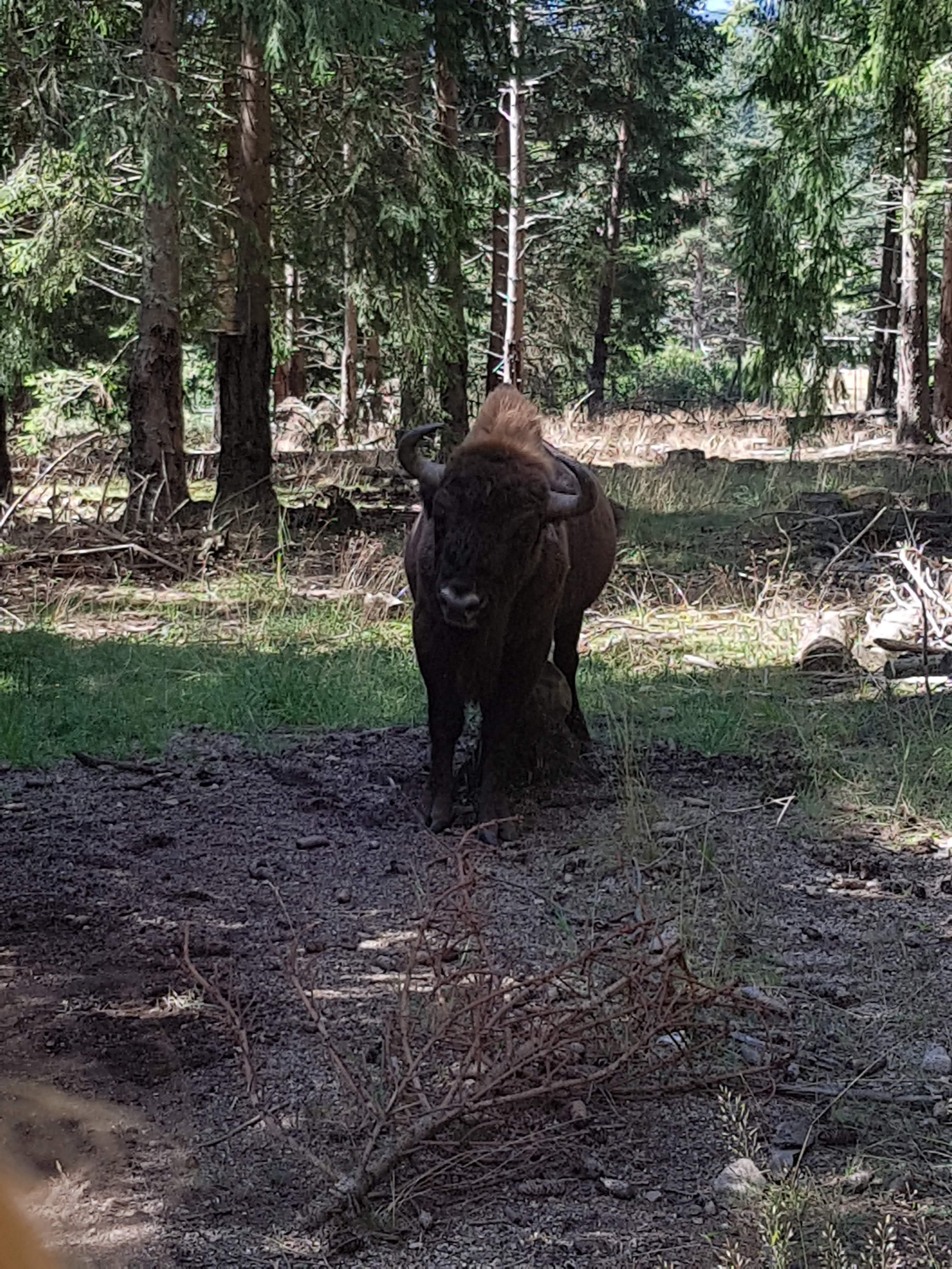 Photo n° 1 de l'avis de Paul.R fait le 17/08/2018 à 14:46
