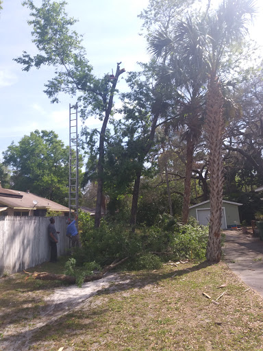 Hardware Store «Vision Ace Hardware», reviews and photos, 8538 Gunn Hwy #10, Odessa, FL 33556, USA