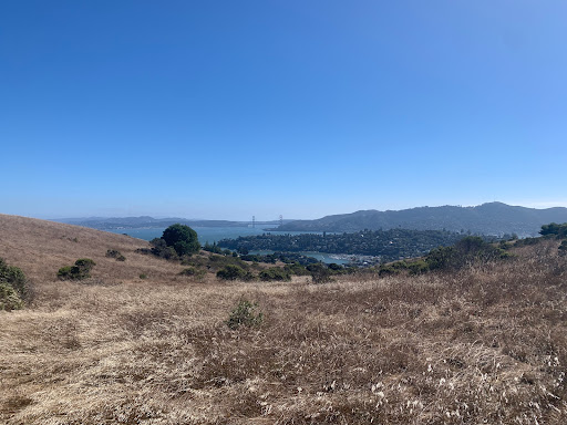 Nature Preserve «Tiburon Uplands Preserve», reviews and photos, 3079 Paradise Dr, Belvedere Tiburon, CA 94920, USA