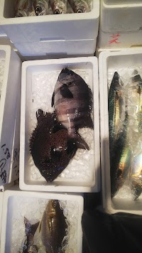 新宮魚市場