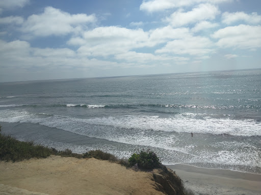 Del Mar Surf School